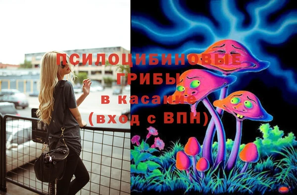 мяу мяу мука Абдулино