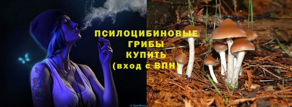 мяу мяу мука Абдулино